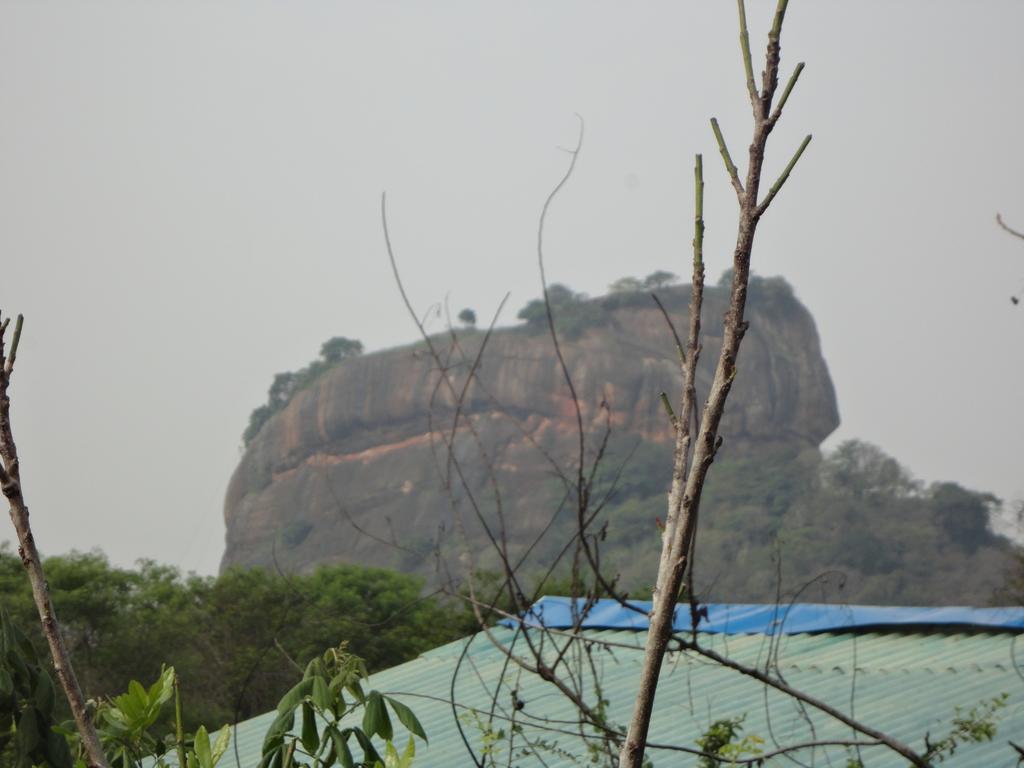 Sigiri Forest View Sigiriya Exteriér fotografie