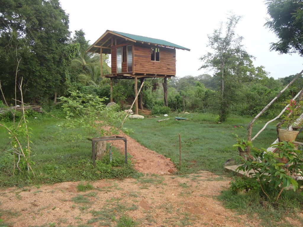 Sigiri Forest View Sigiriya Exteriér fotografie